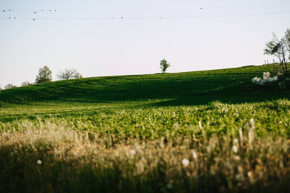 Cascina Cabella