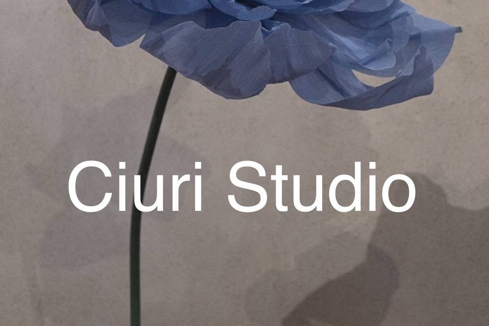 Evento firmato ciuri studio