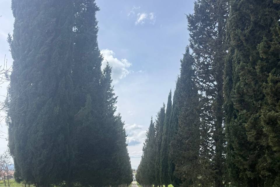 Location