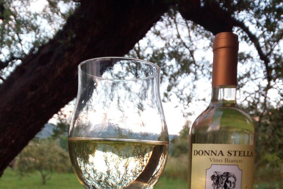 Donna Stella Vino bianco