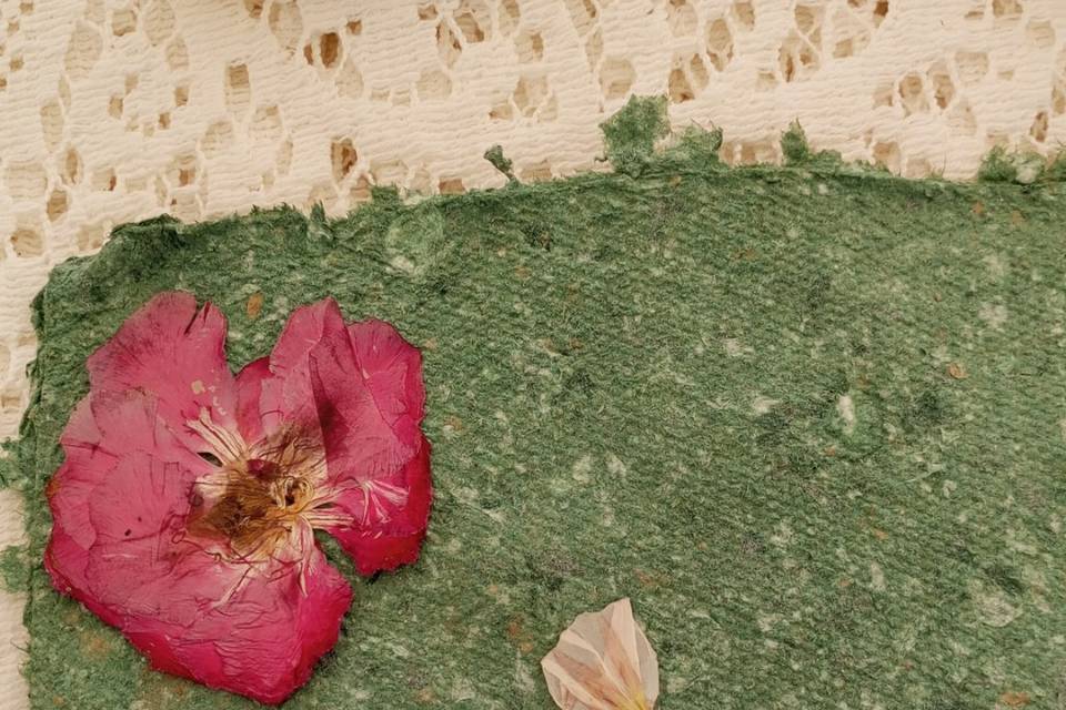 Partecipazioni naturali