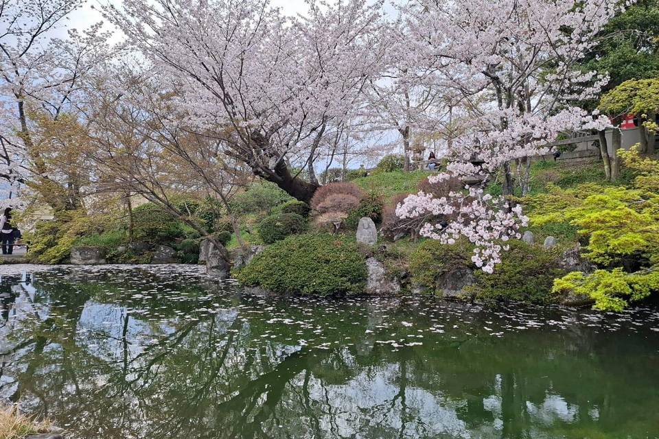 Giappone