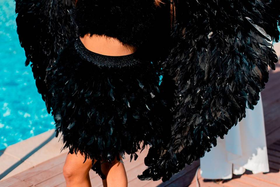 Black wings