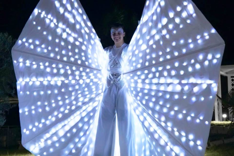 “ali luminose”