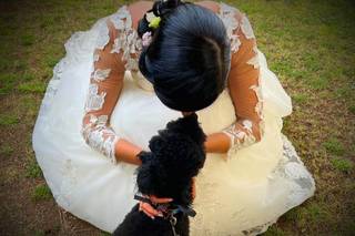 Le Cat e Dog Sitter - Wedding