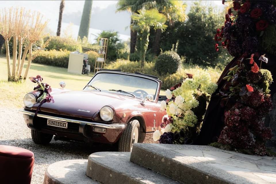 VIC | Vintage Italian Classics