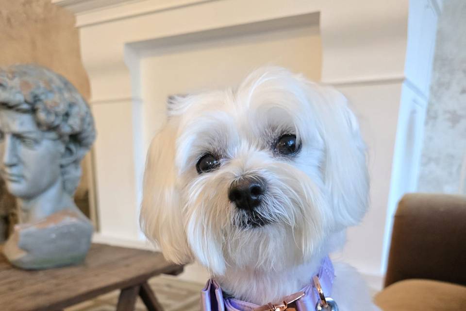 18mo Roma Oliver Tata Daniela