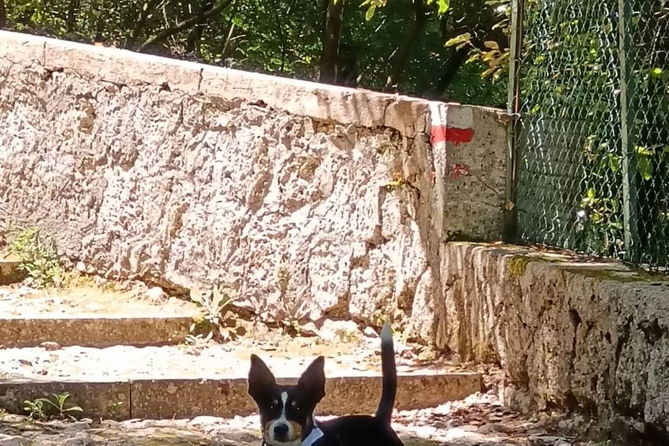 Roma: Rocky e Giovanna 23/5/26
