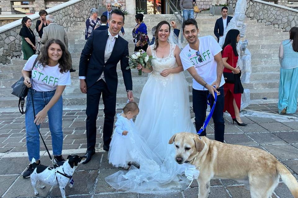 Le Cat e Dog Sitter - Wedding