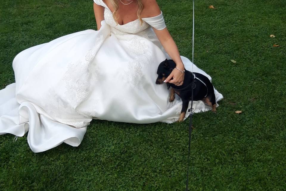 Le Cat e Dog Sitter - Wedding