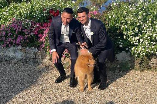 Le Cat e Dog Sitter - Wedding