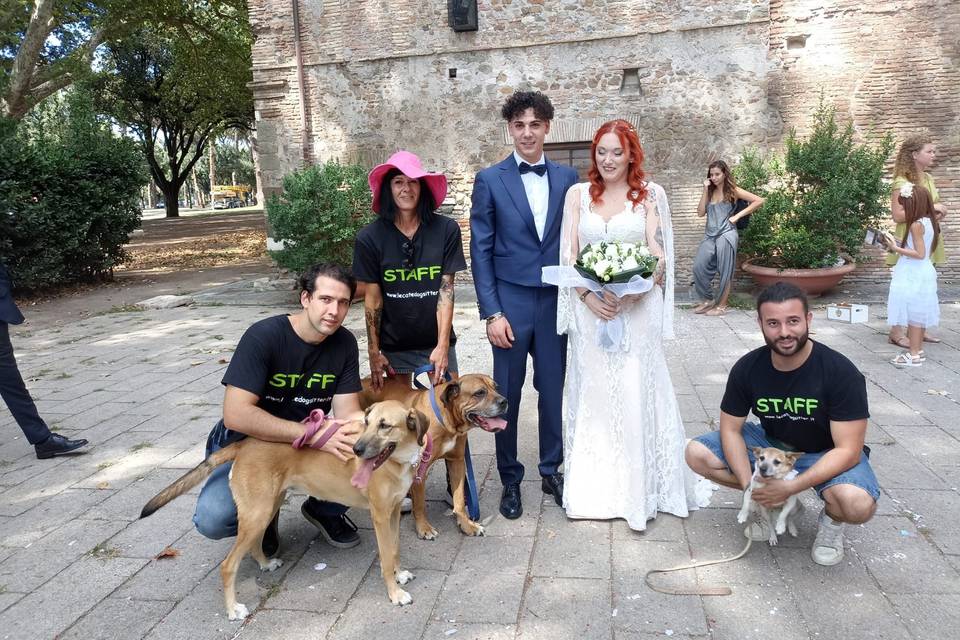 Le Cat e Dog Sitter - Wedding