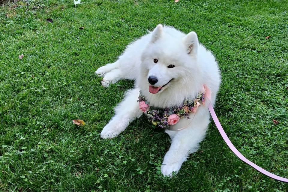 MO 12/9 Winnie e Summer