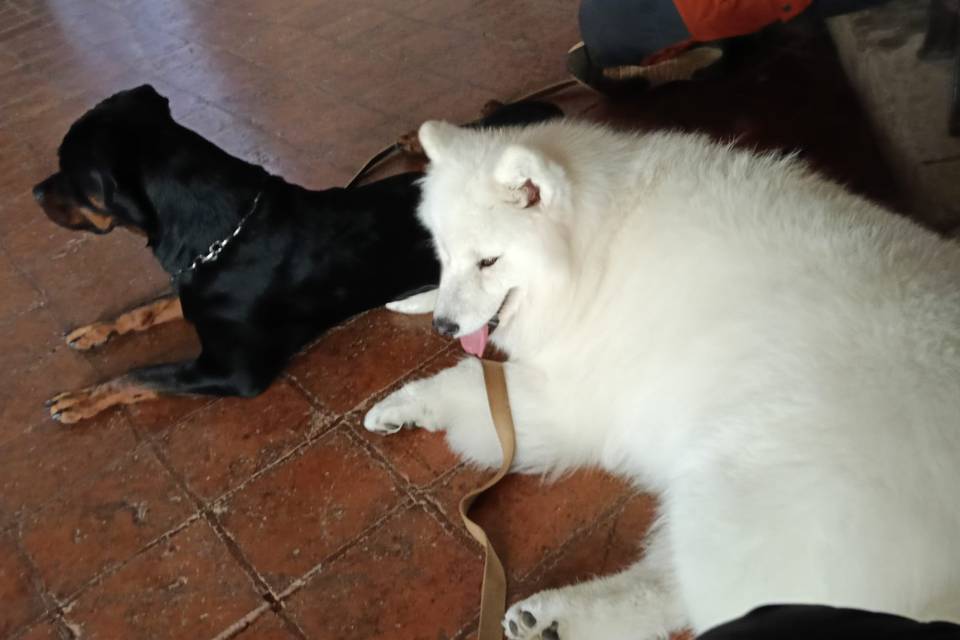 MO 12/9 Winnie e Summer