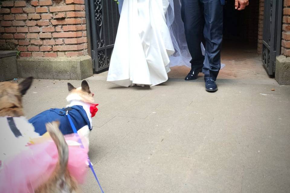 Wedding Bruno e Mia