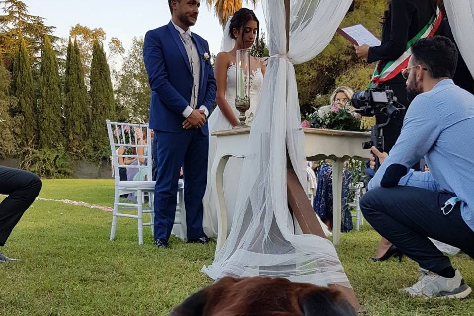 Wds Roma Tata Valentina