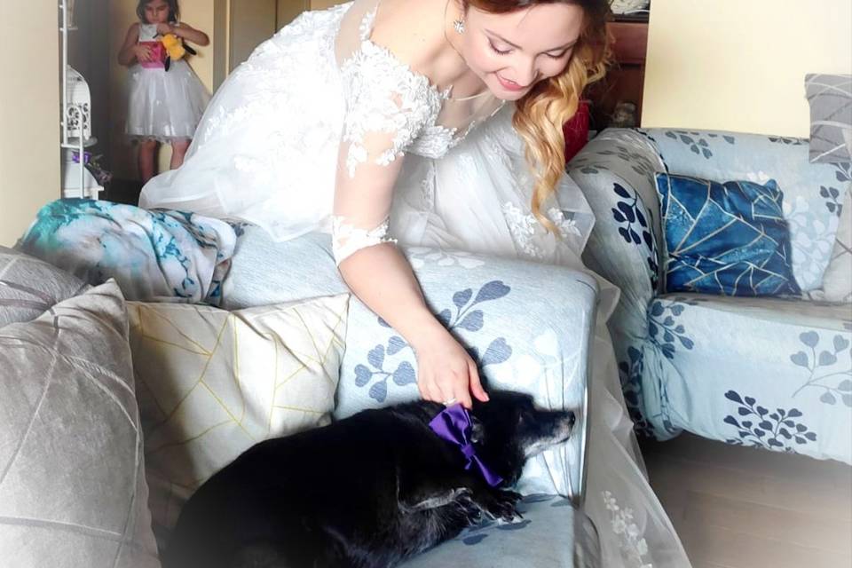 Le Cat e Dog Sitter - Wedding