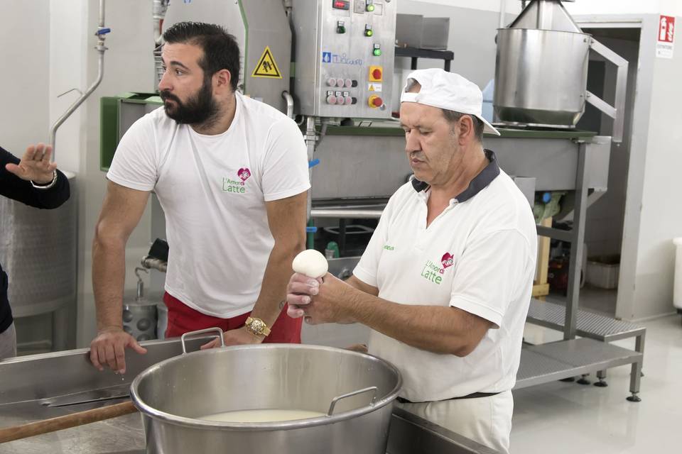 Mozzarella making