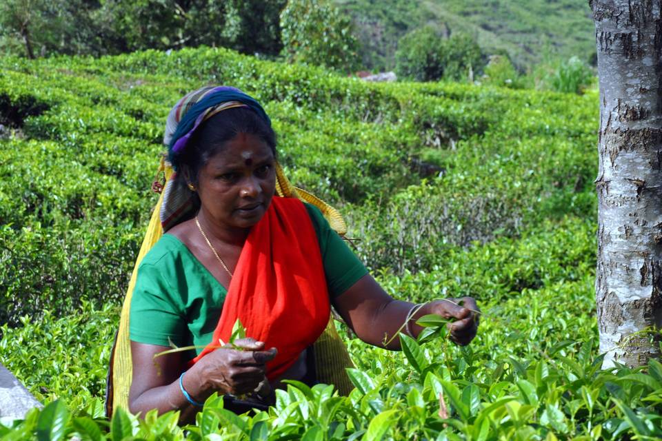 Sri Lanka