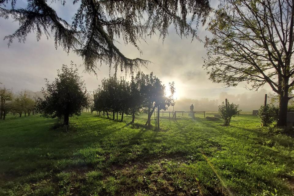 Monastero, nebbia