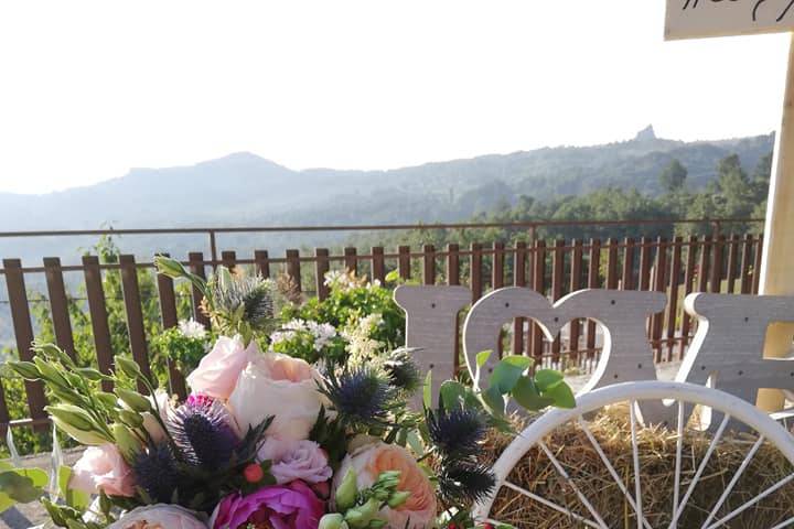 Matrimonio sul pollino