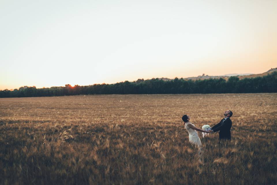 Campo di grano