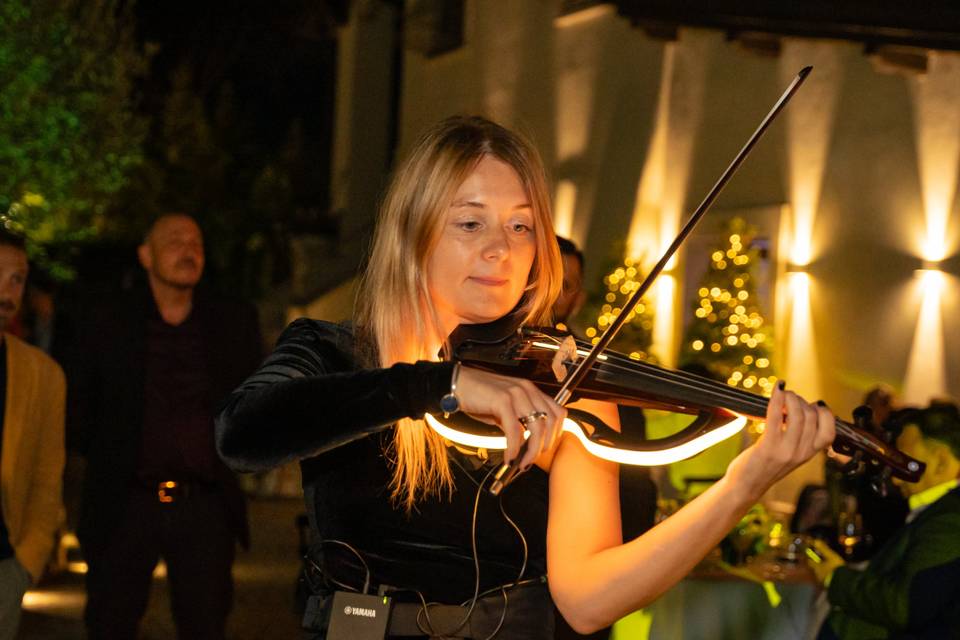 Violino