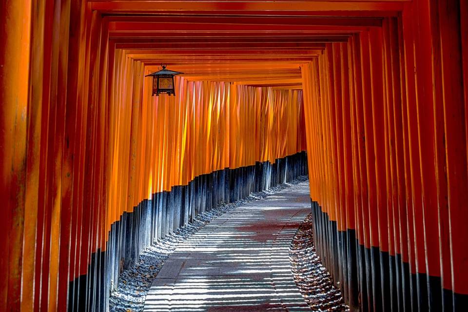 Torii