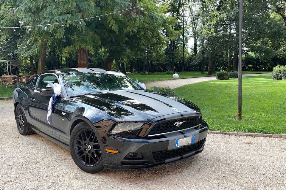 Mustang in villa