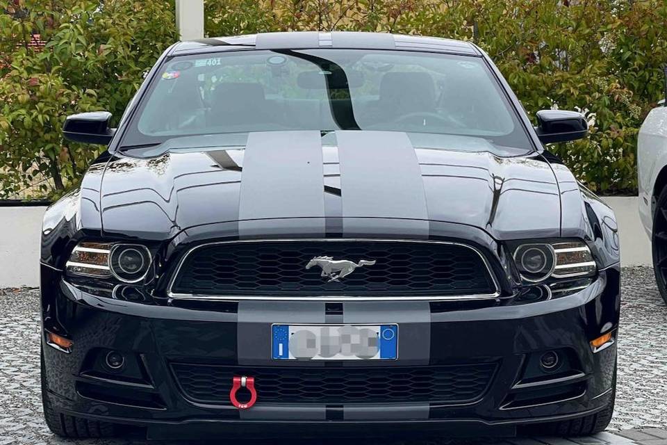 Mustang anteriore