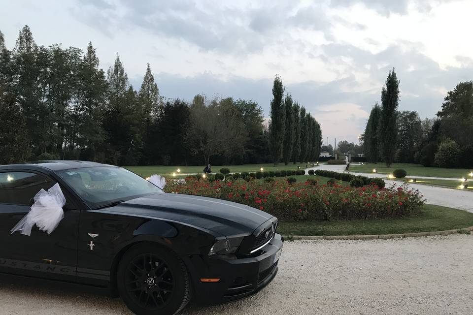 Ford Mustang arrivo in villa