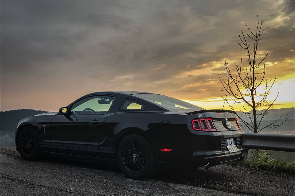 Mustang al tramonto