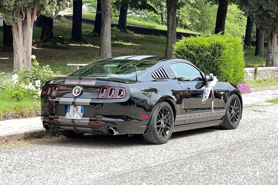 Mustang posteriore con fiocchi