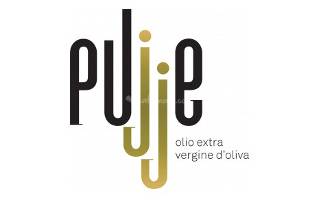 Pujje logo