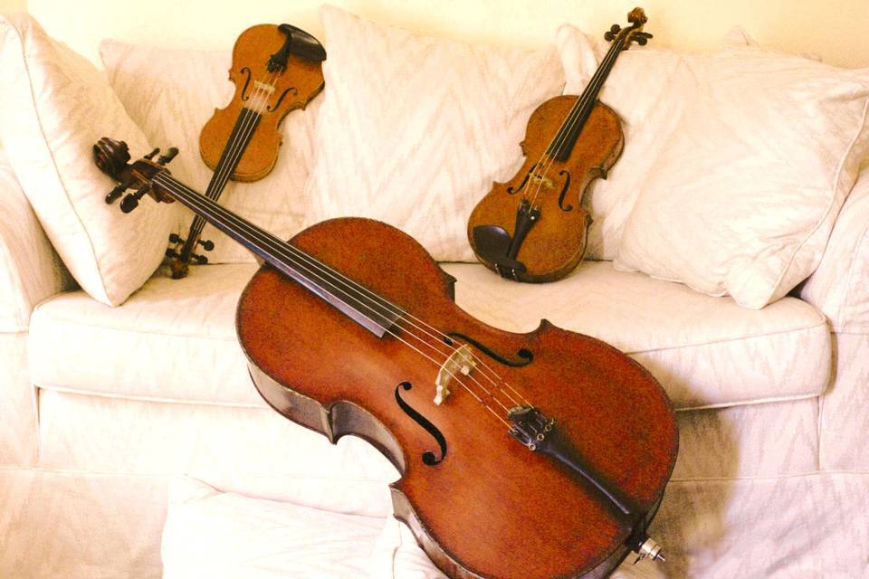 Violino, viola e violoncello