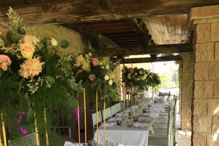 Wedding volterra