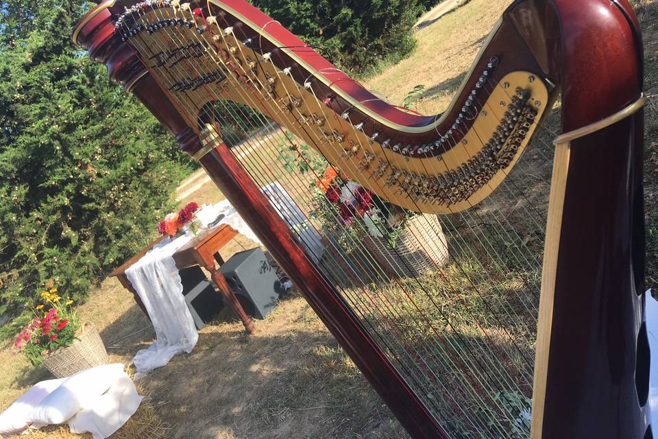 Matrimonio in Campagna