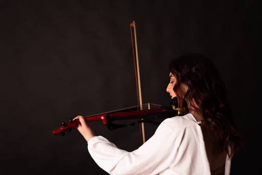 Domenica (violino elettrico)