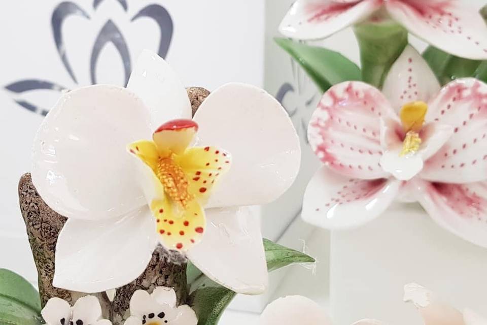 Bomboniere orchidee ceramica