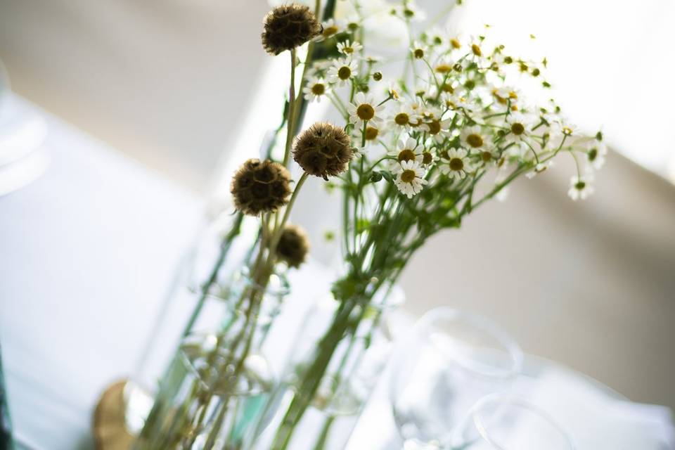 Fiori