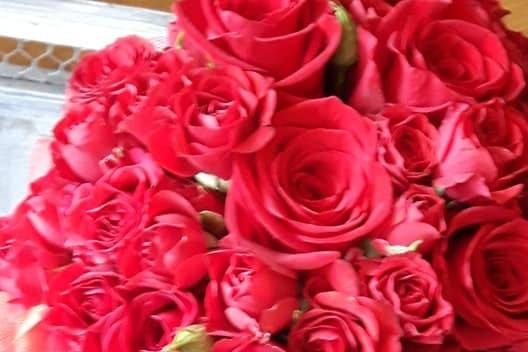 Rose rosse