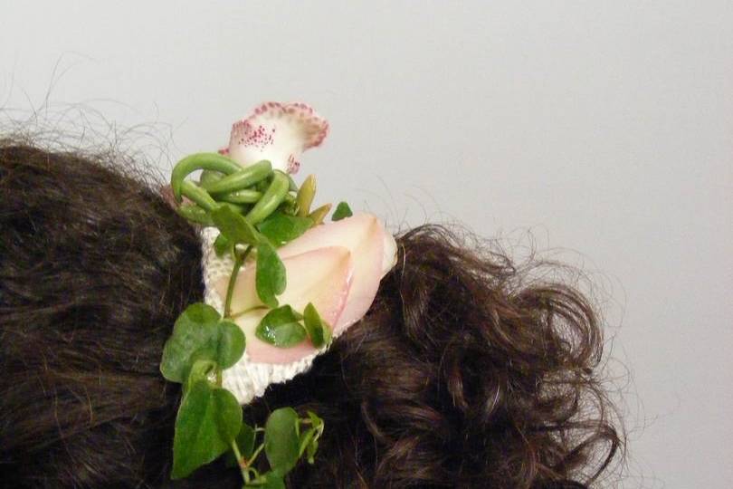 Cinzia Floral Designer