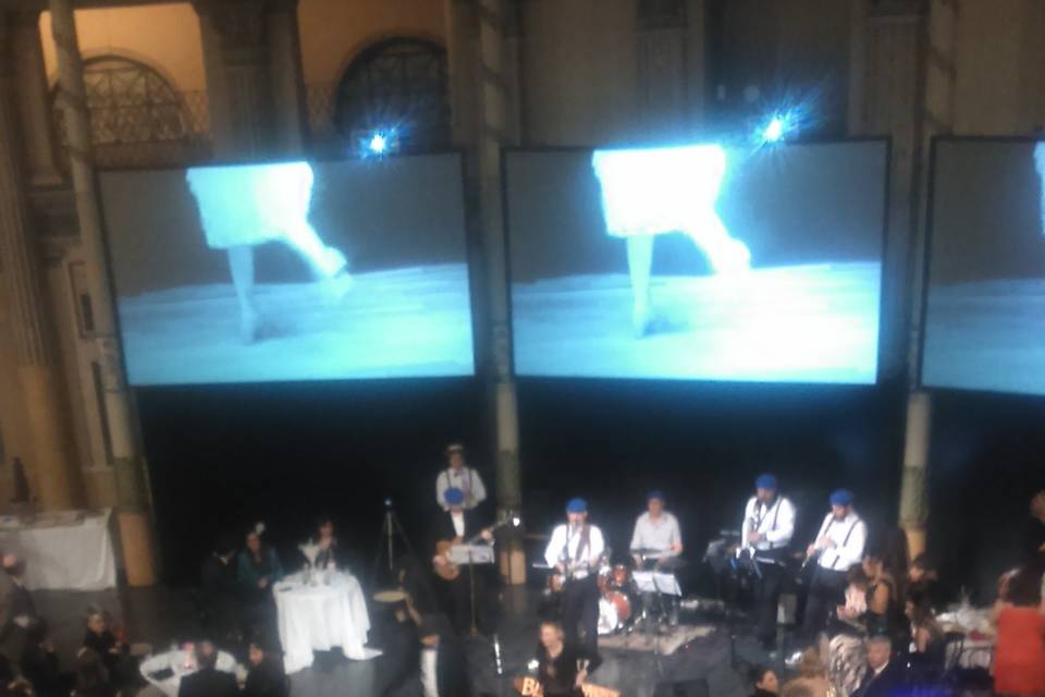 Acquario Romano Swing