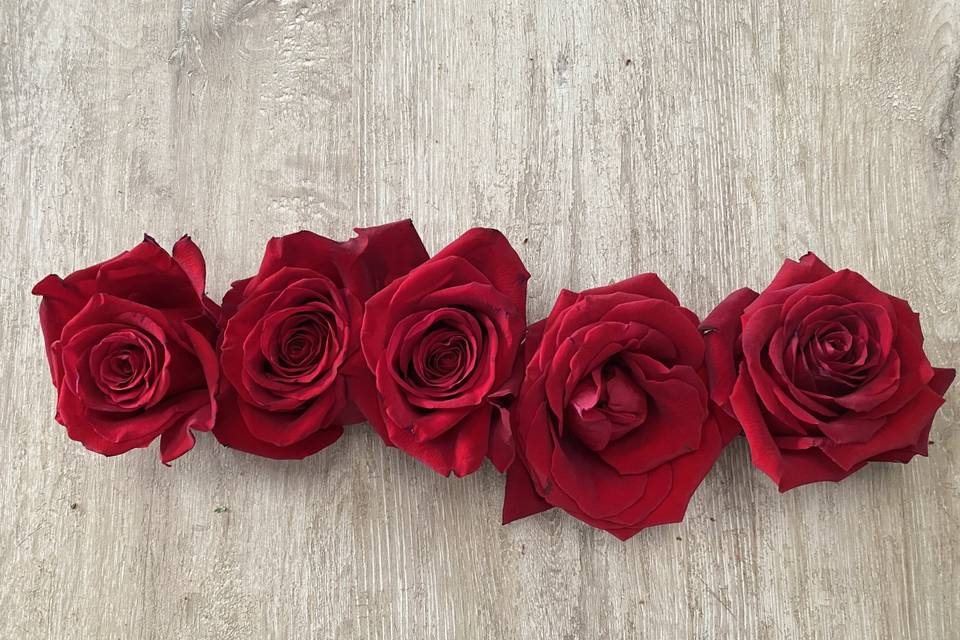 Rose rosse