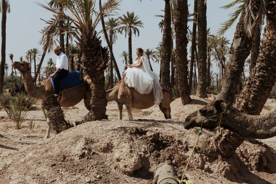 Postwedding a Marrakech