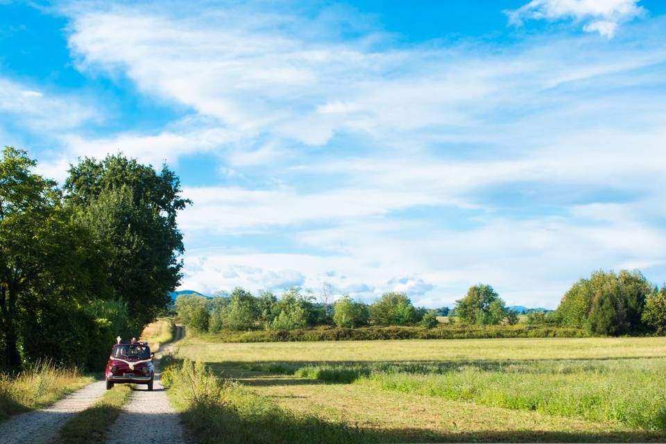 Strada nel bosco