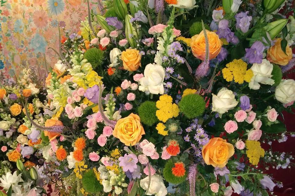 Matrimonio colorati
