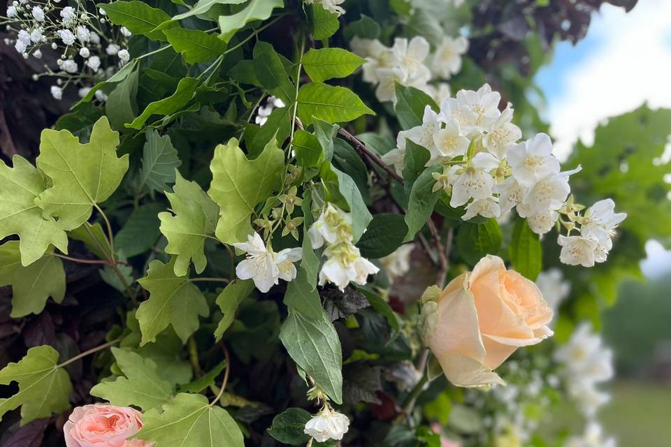 Fiori di stagione