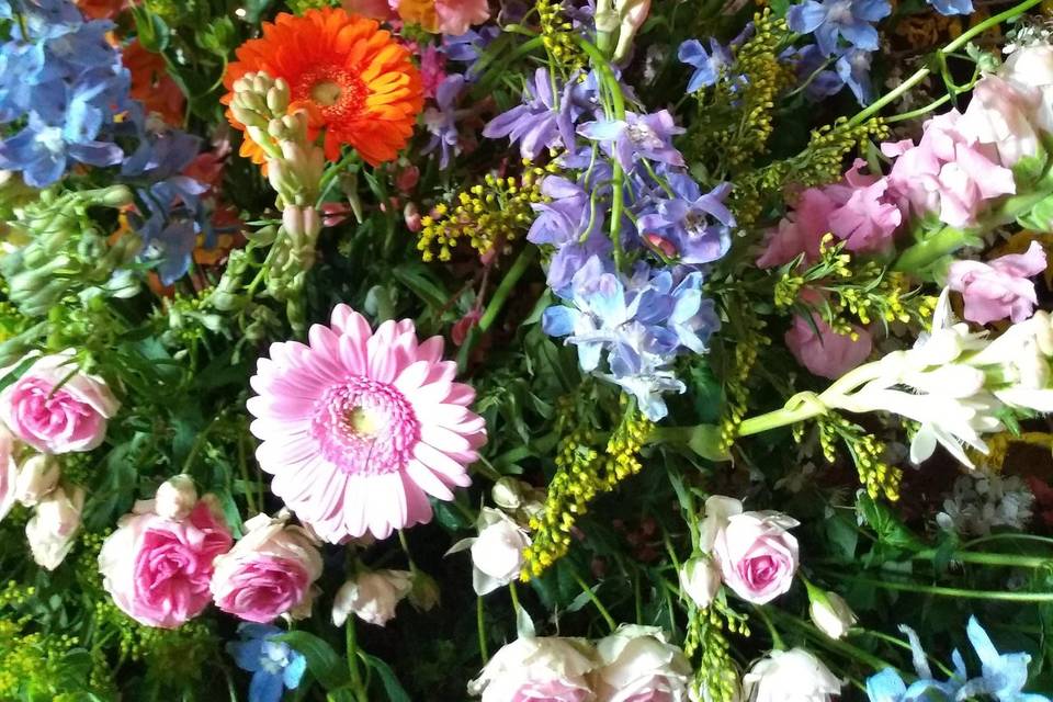 Matrimonio colorato di primave