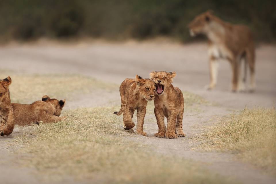 Namibia